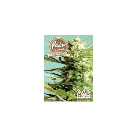 Auto Sweet Dwarf – autoflowering semínka 10 ks Fair Seeds