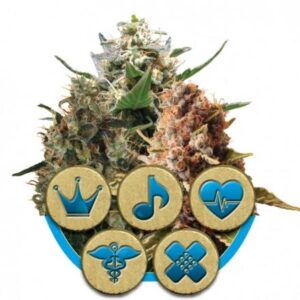 CBD Mix - feminizovaná semínka 3ks Royal Queen Seeds