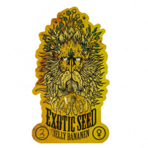 Jelly Bananen -feminizovaná semena marihuany
