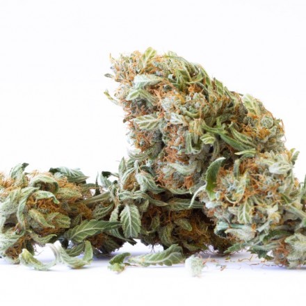 Super Silver Haze CBG - Indoor CBD květy Cannapio 100g