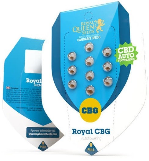 Royal CBG Automatic - samonakvétací semínka 3 ks Royal Queen Seeds